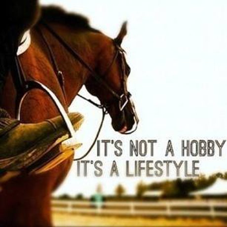 Naples FL horse property for sale, horse barn, home and land.