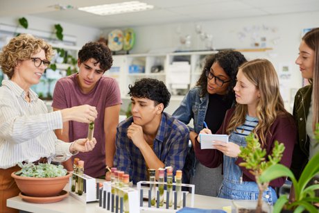 Best School Districts in the Orlando Metro Area