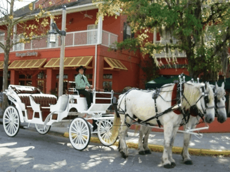 Celebration activities, Sunday Farmers Market, horse-drawn carriages and events in Osceola County, Florida