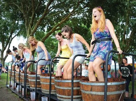 Lake Ridge Winery Grape Stomping Event and activities in Lake County, Florida