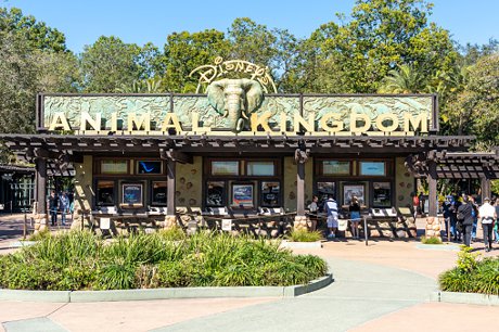 Disney's Animal Kingdom in Orlando