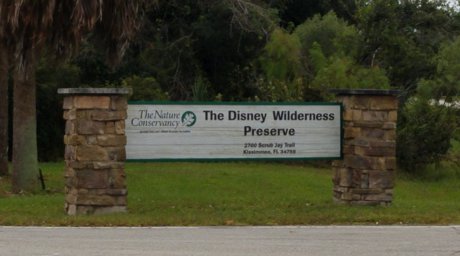 Poinciana master-planned community and natural surroundings in Osceola County, Florida