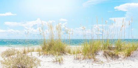 Florida Beaches