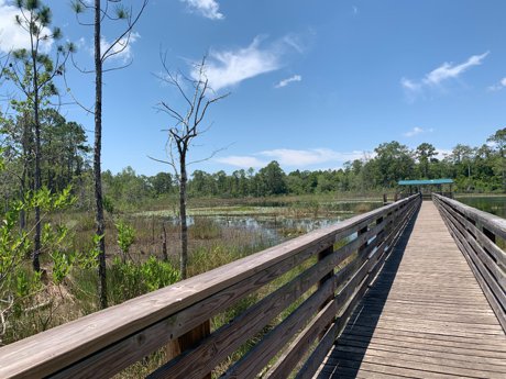 Geneva Parks