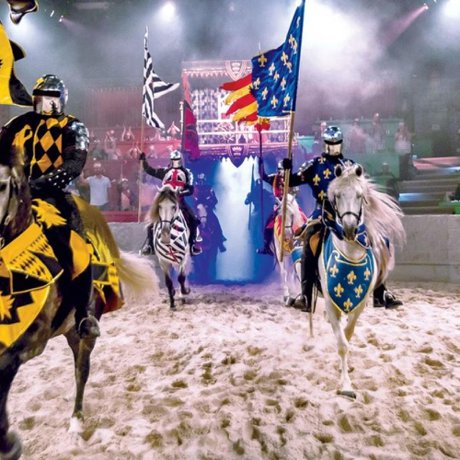 Medieval Times Dinner Theater and Show