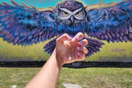 Kissimmee Downtown Art Scene