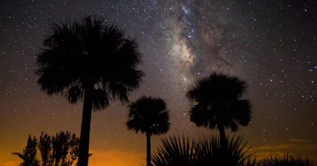 Kissimmee Prairie Preserve State Park