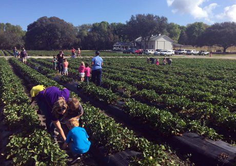 Oak Haven Farms in Sorrento Florida