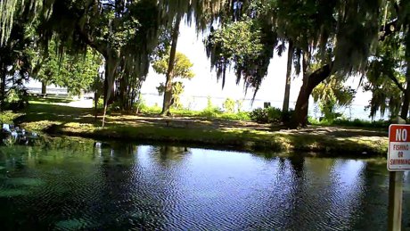 The Springs in Yalaha Florida