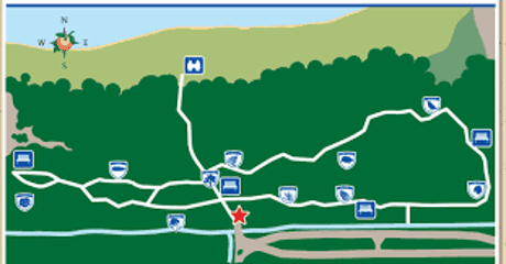 The Longhorn Steakhouse Loop at Dr P Phillips Park