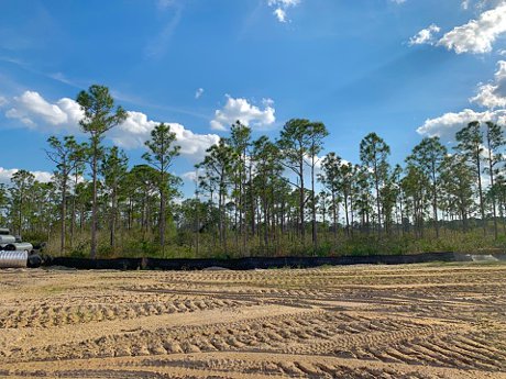 Orlando Land and Vacant Lot Guide