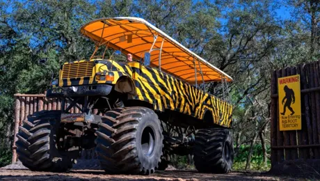 Showcase of Citrus Monster Truck