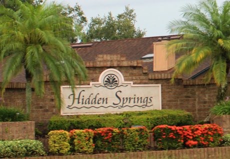 Hidden Springs neighborhood in Dr Phillips Orlando FL