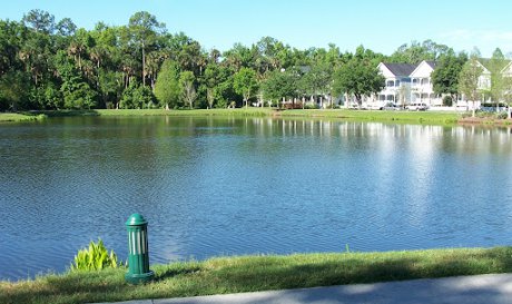 Celebration waterfront homes