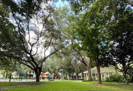 Celebration Parks - Parks in Celebration FL