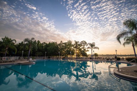 heron bay pool