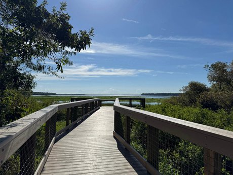 Spring Hammock Preserve
