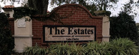 The Estates at Lake Clarice Homes for Sale Windermere Florida