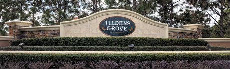 Tildens Grove Homes for Sale Windermere Florida Real Estate