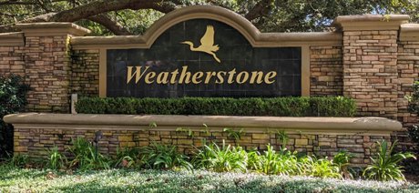 Weatherstone Homes for Sale Windermere Florida