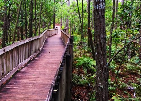 The Tibet-Butler Preserve in Windermere FL