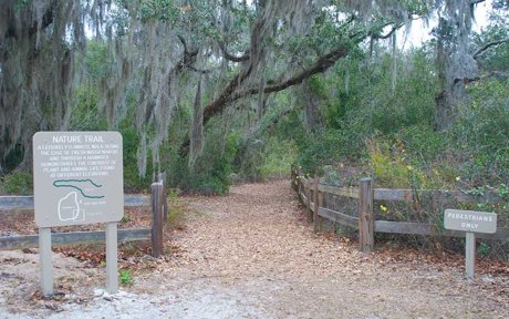 Lake Griffin State Park in Fruitland Park Florida