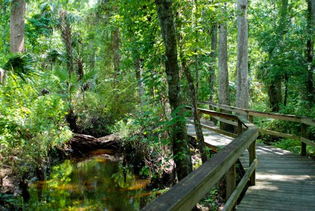 Lake Mills Park Chuluota Florida