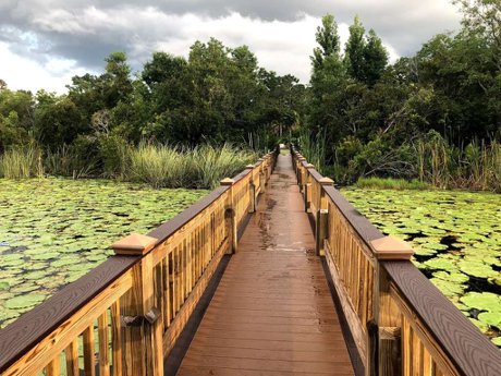 Windermere parks including R.D. Keene Park and Tibet-Butler Preserve in Orange County, Florida