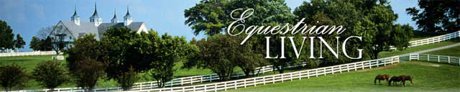 Stonelake Ranch Homes for Sale