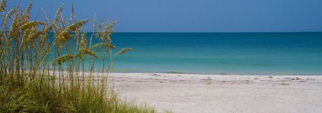 Sand Key Florida homes, condos and new construction for sale.