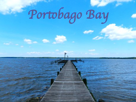 Portobago Bay Article Image