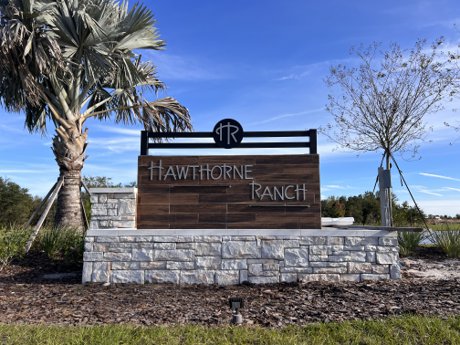 Homes For Sale In Hawthorne Ranch Lakeland