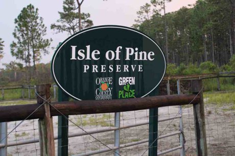 The Isle of Pines Preserve in the Moss Park area of Lake Nona