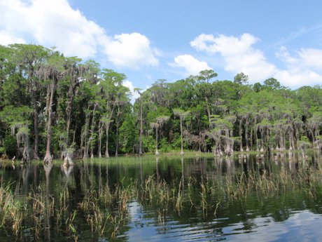 Lake Nona the Actual Lake