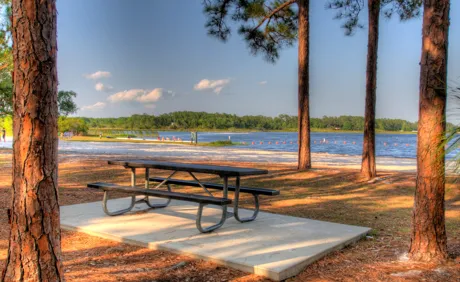 Beach at Moss Park near to Live Oak Estates