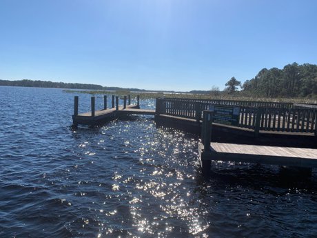 Moss Park Dock