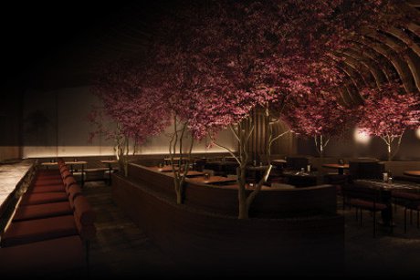Nami Japanese Cuisine in the Lake Nona Wave Hotel