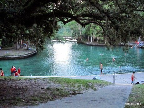 Wekiva Springs Homes for Sale - Wekiva Springs FL Real Estate