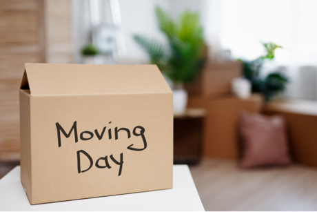 Moving Day Box