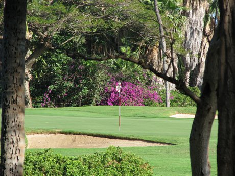 Kaanapali golf course | Maui condos for sale Kaanapali