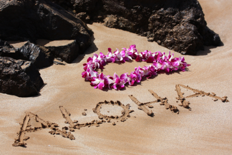Hawaii's Aloha Spirit: Community and Culture in Maui