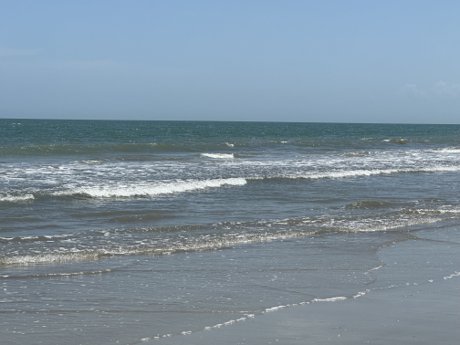 serena shores