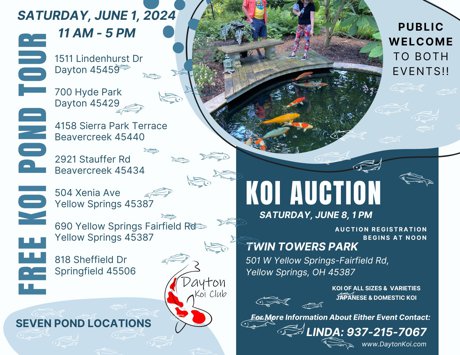 Dayton Ohio Backyard Pond Tour