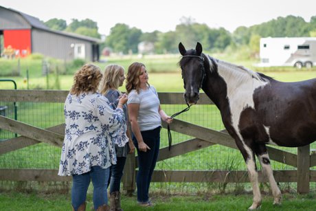 Horse Therapy in the Dayton Ohio area