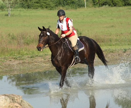 Dayton Ohio Area Horse Park