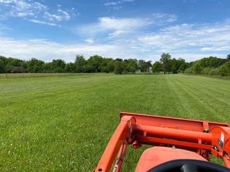 Dayton lawn 2024 mowing