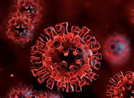 Picture of Covid Cell