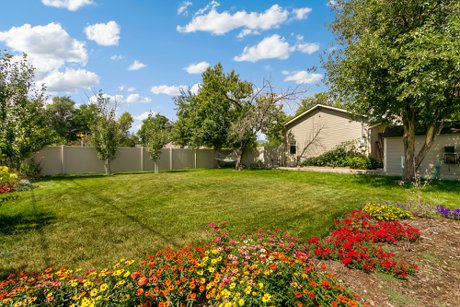 Just Listed! Home for sale at 329 Locust St, Windsor, CO 80550