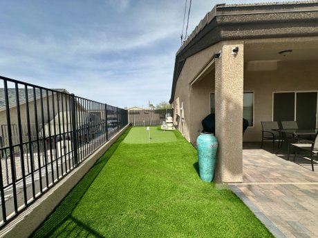 backyard 6