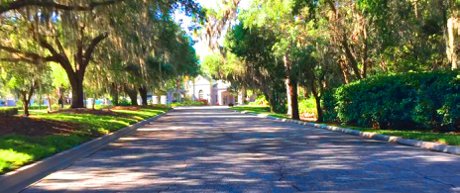 The treelined canopy streets of Rosedale. A gated golf community
